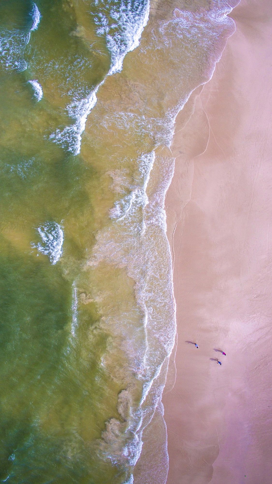 驚艷家佳樂文學(xué)景：發(fā)現(xiàn)未知的美！