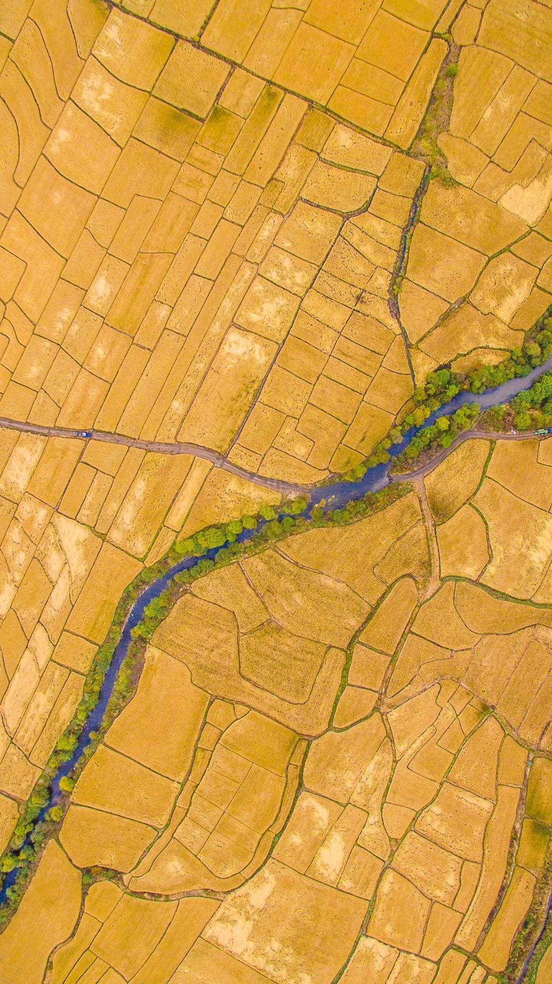 驚艷家佳樂文學(xué)景：發(fā)現(xiàn)未知的美！