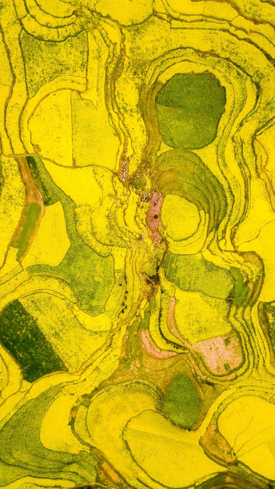 驚艷家佳樂文學(xué)景：發(fā)現(xiàn)未知的美！