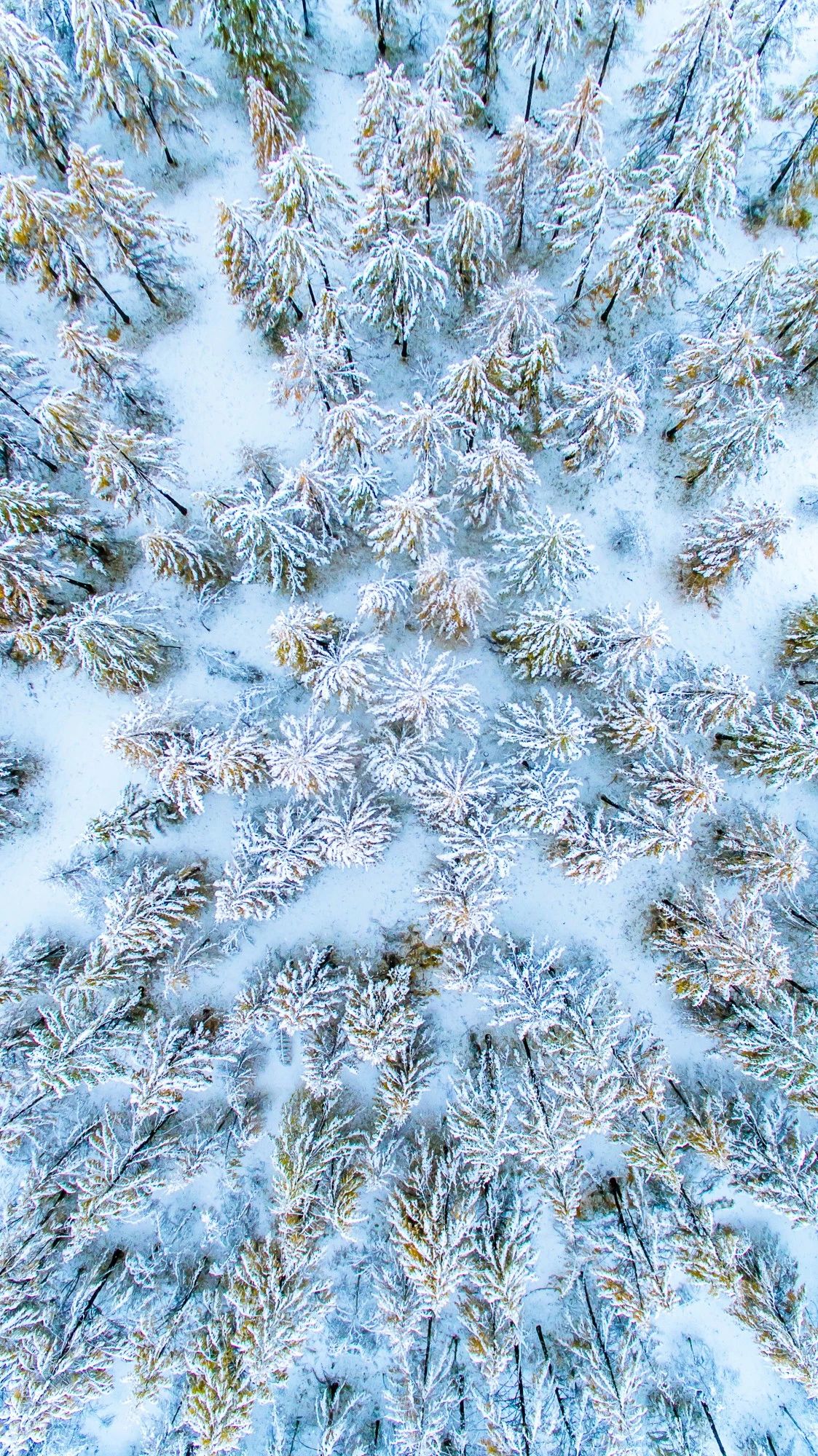 驚艷家佳樂文學(xué)景：發(fā)現(xiàn)未知的美！