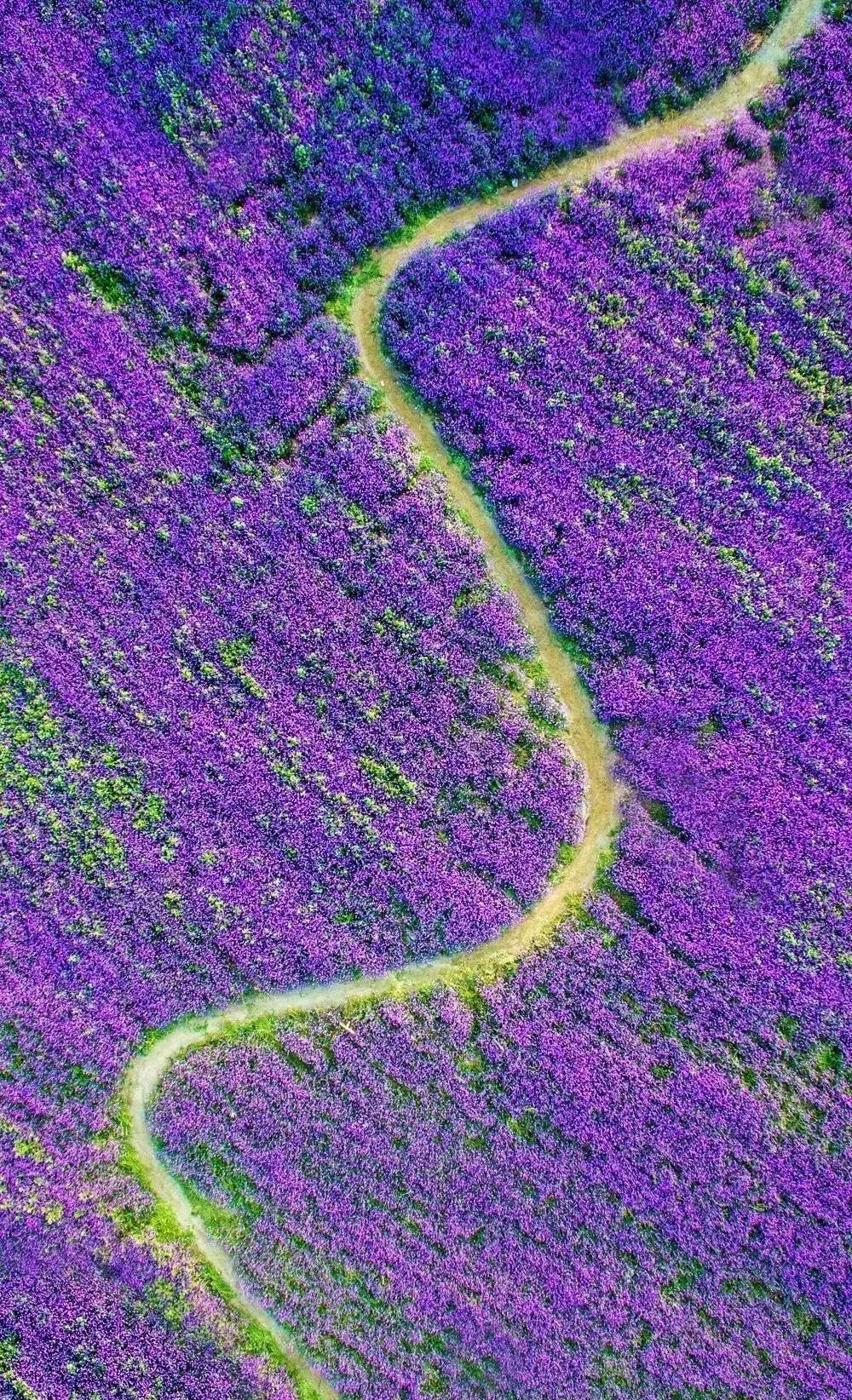 驚艷家佳樂(lè)文學(xué)景：發(fā)現(xiàn)未知的美！