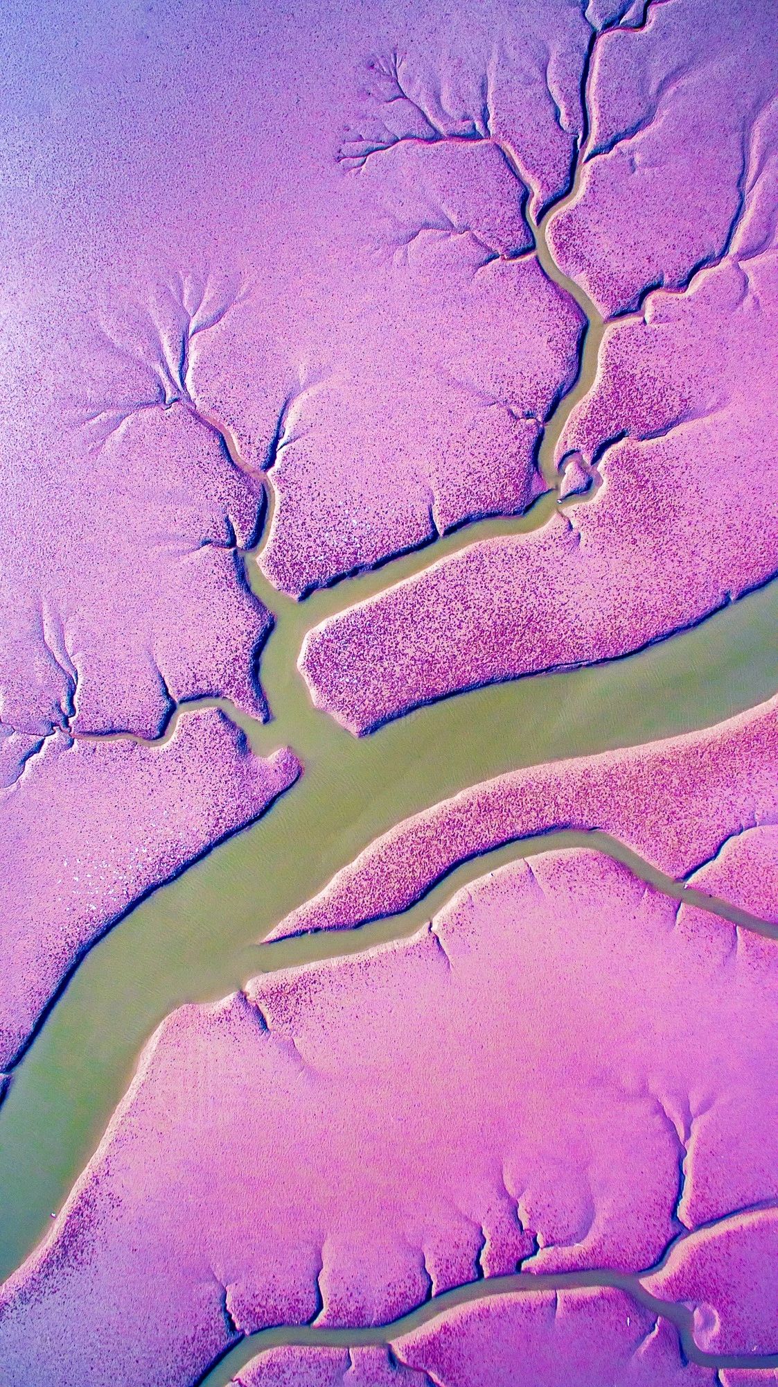 驚艷家佳樂(lè)文學(xué)景：發(fā)現(xiàn)未知的美！