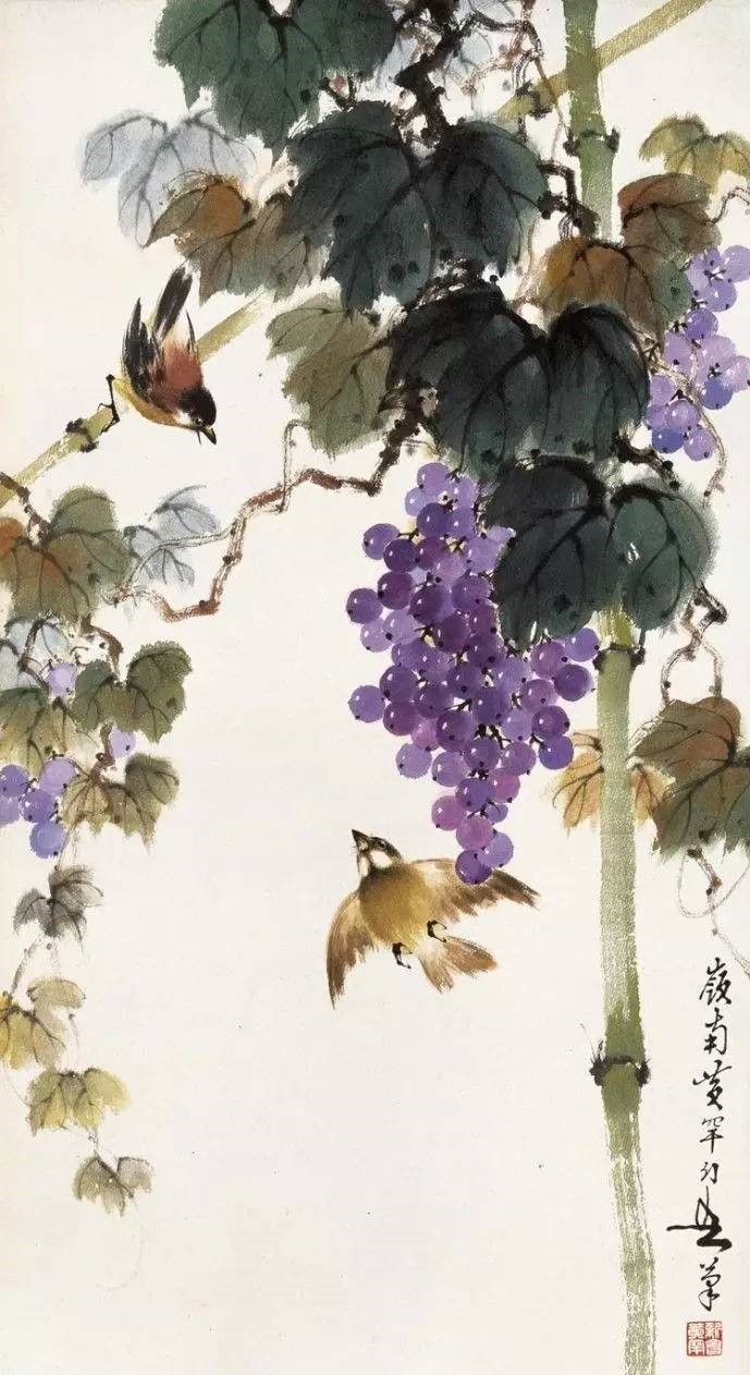 美人如葡萄，秀美如國畫！