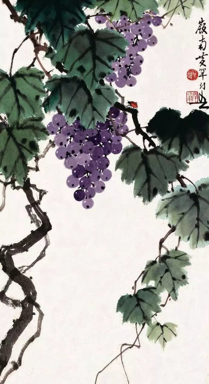 美人如葡萄，秀美如國畫！