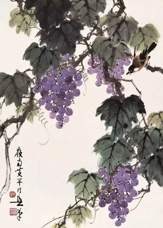 美人如葡萄，秀美如國畫！
