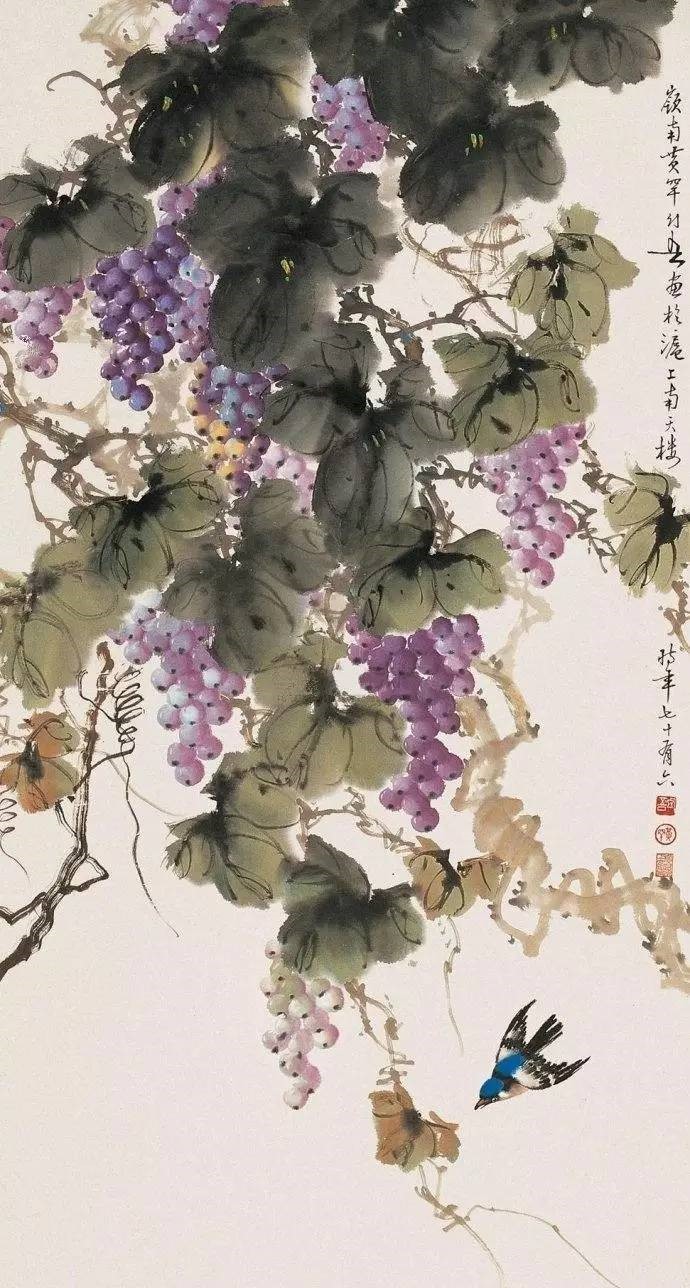 美人如葡萄，秀美如國畫！