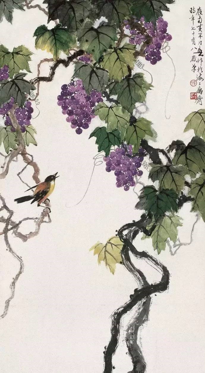 美人如葡萄，秀美如國畫！