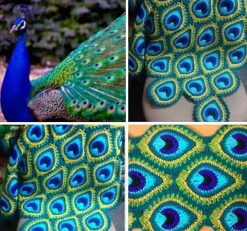 孔雀羽毛編織作品，驚艷眾人！