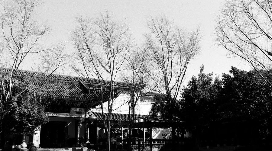 麗江·白馬里，千年古城化作最美背景