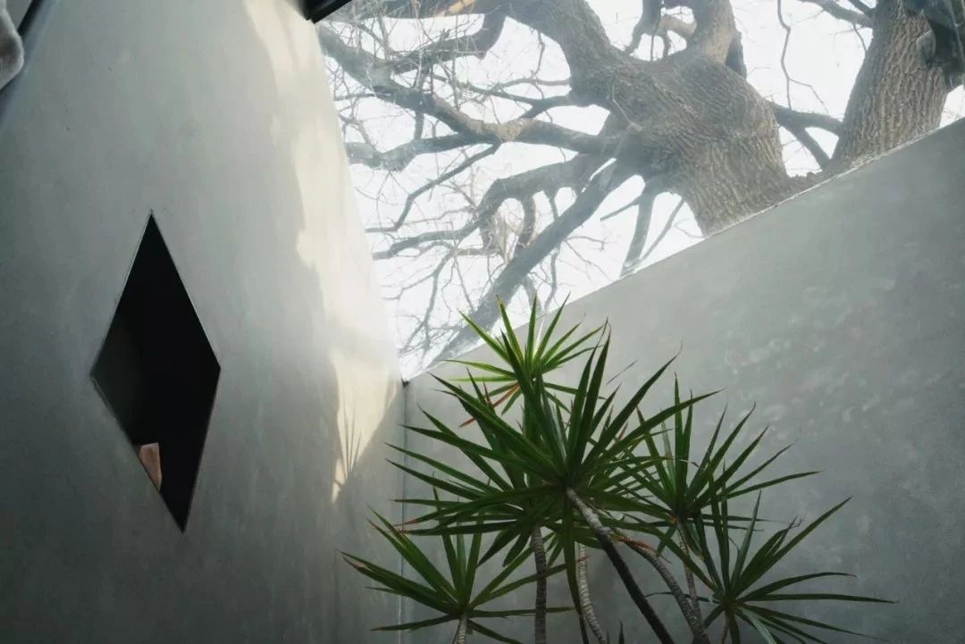 北京·有術(shù)，網(wǎng)紅建筑師青山周平的新作