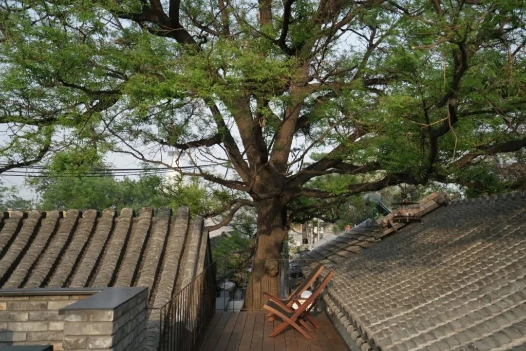 北京·有術(shù)，網(wǎng)紅建筑師青山周平的新作