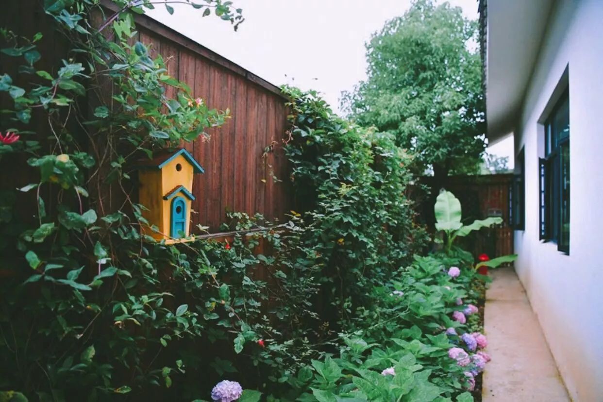 南京·悠然客棧，一方小院一杯清茶一段美好時(shí)光