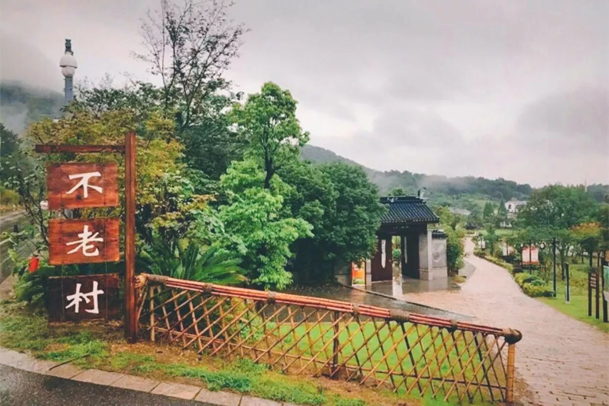 南京·悠然客棧，一方小院一杯清茶一段美好時(shí)光