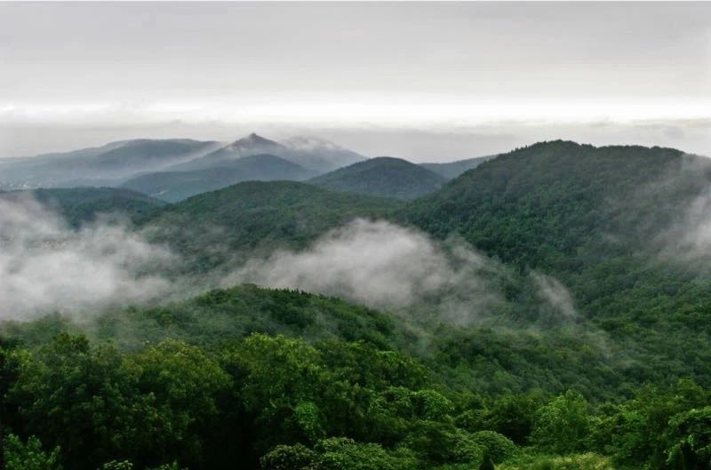 南京·悠然客棧，一方小院一杯清茶一段美好時(shí)光