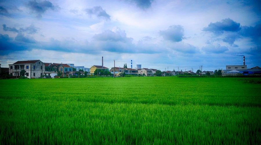 南京·悠然客棧，一方小院一杯清茶一段美好時(shí)光