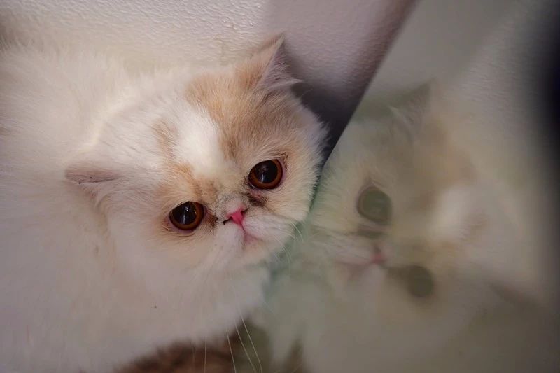 南京·悠然客棧，一方小院一杯清茶一段美好時光