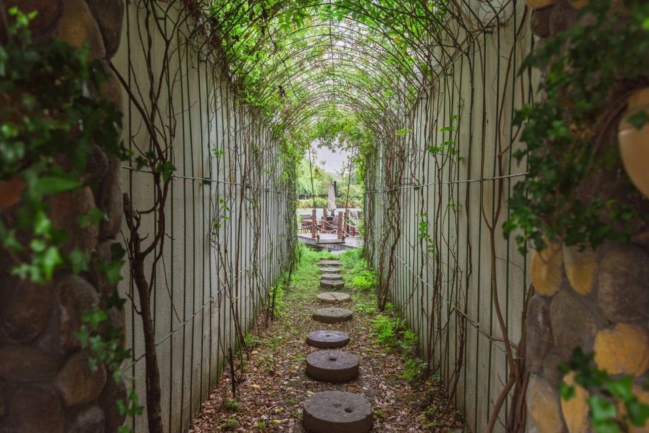 杭州·水墨蓉莊，保持一副獨立于塵世之外面孔