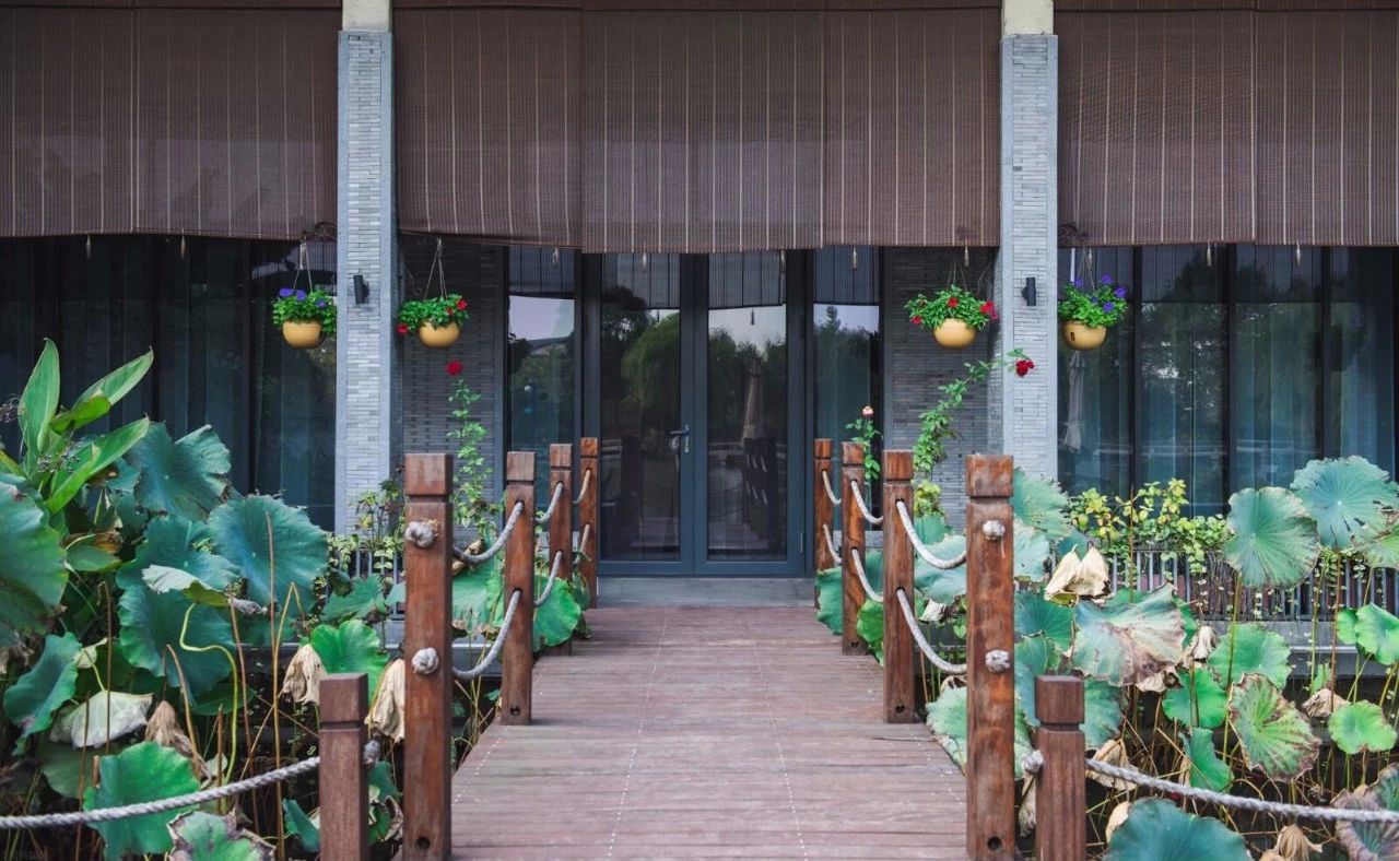 杭州·水墨蓉莊，保持一副獨立于塵世之外面孔