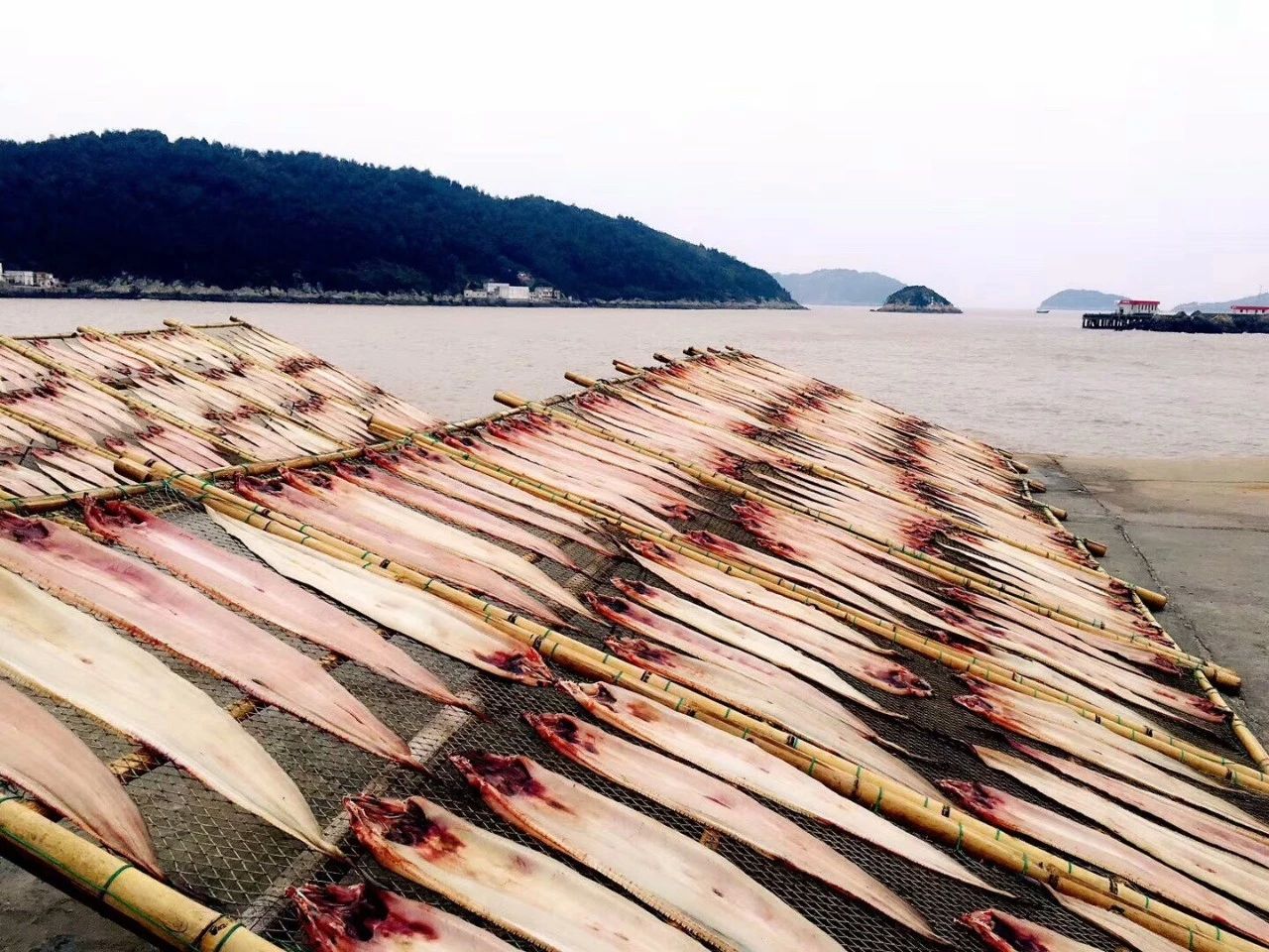 青島·桑吉爾多，把桑吉爾多的民謠帶進(jìn)來(lái)