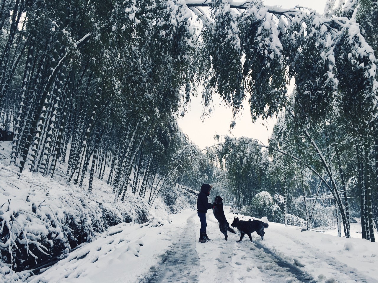 莫干山·玖悅度假酒店，沉浸在風(fēng)景里
