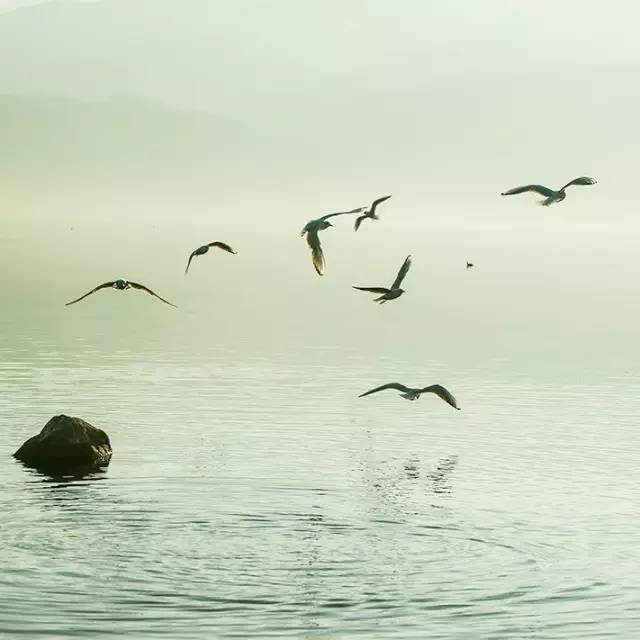 風景攝影作品時光靜好：邛海景色！