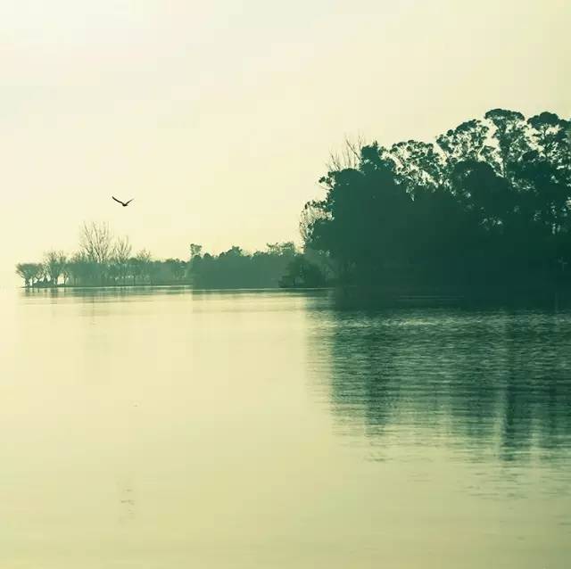 風(fēng)景攝影作品時光靜好：邛海景色！