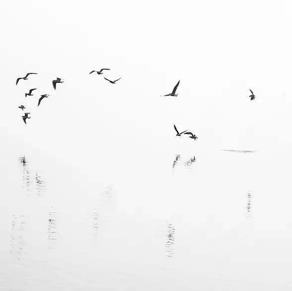 風(fēng)景攝影作品時(shí)光靜好：邛海景色！