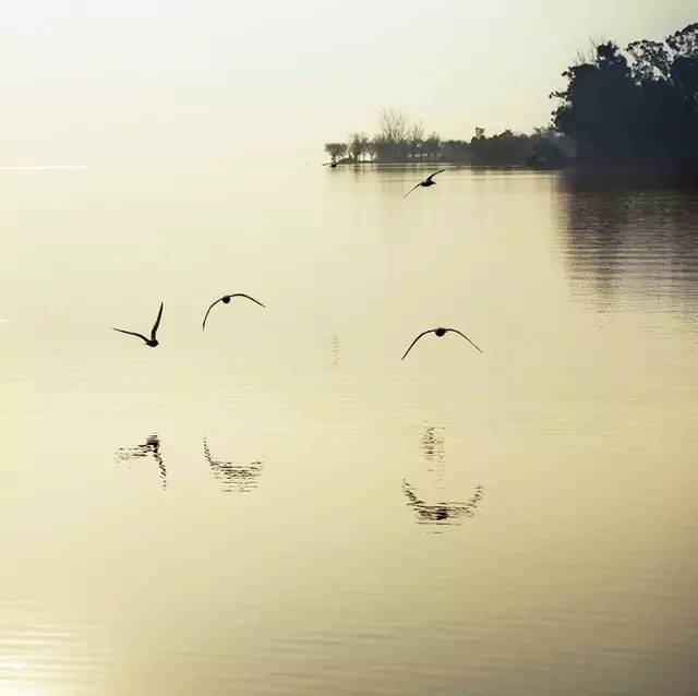 風(fēng)景攝影作品時(shí)光靜好：邛海景色！