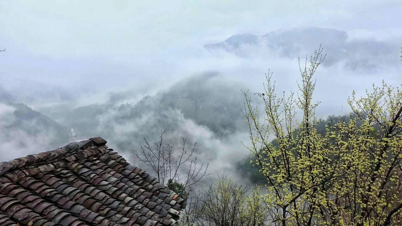 杭州·相見茶舍，若無相欠怎會相見