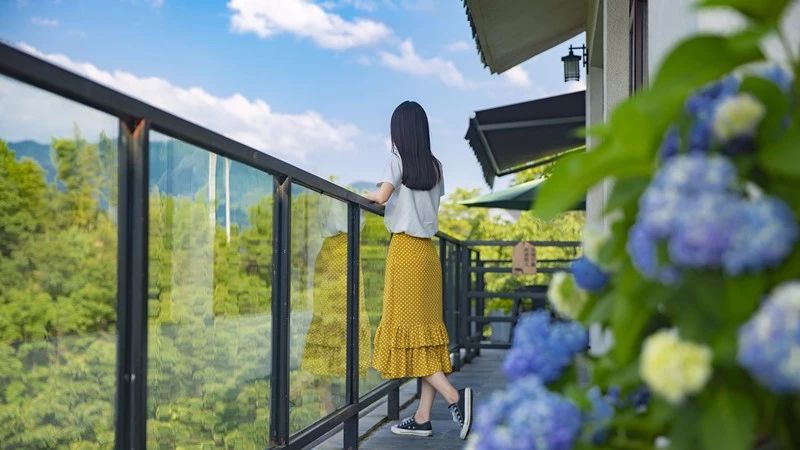 杭州·相見茶舍，若無相欠怎會相見