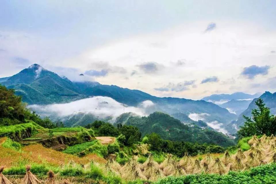 杭州·相見茶舍，若無相欠怎會相見