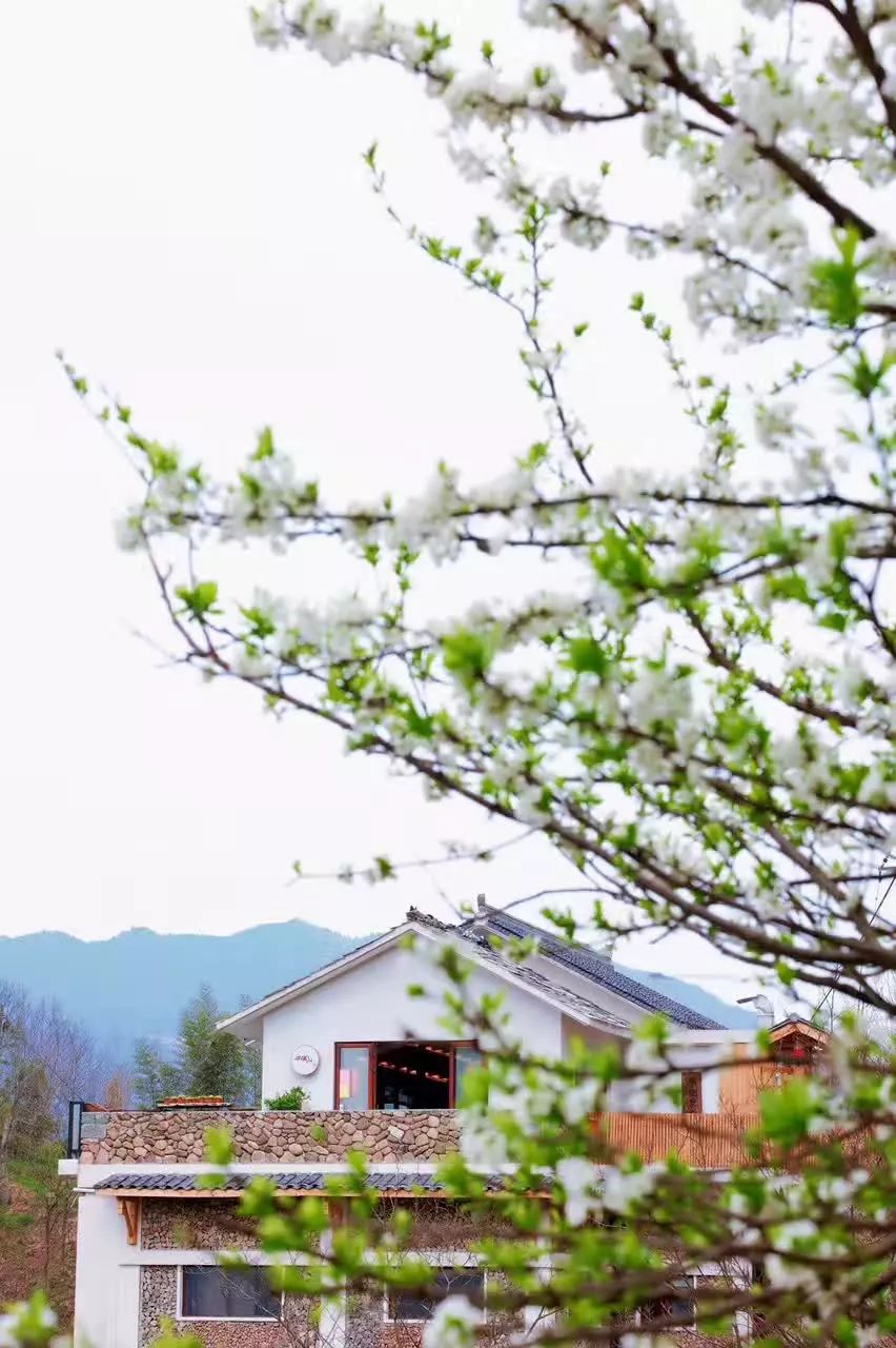 杭州·相見茶舍，若無相欠怎會相見