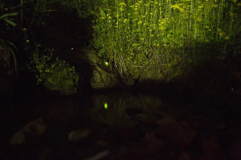 杭州·相見茶舍，若無相欠怎會相見