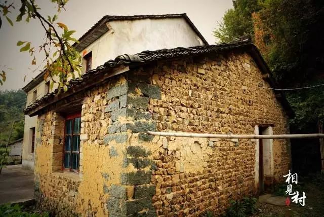 杭州·相見茶舍，若無相欠怎會相見