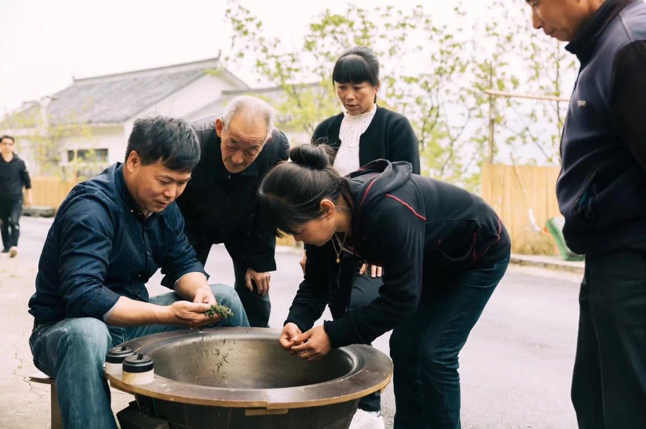 杭州·相見茶舍，若無相欠怎會相見