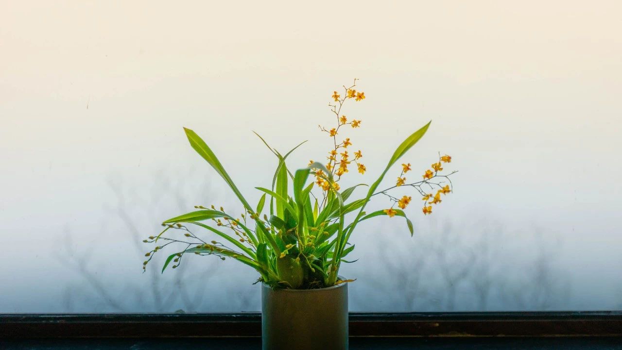 杭州·相見茶舍，若無相欠怎會相見