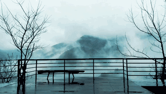 杭州·相見茶舍，若無相欠怎會相見