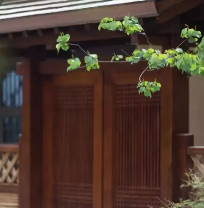 烏鎮(zhèn)悅景莊花間堂，塑烏鎮(zhèn)“秘密花園”