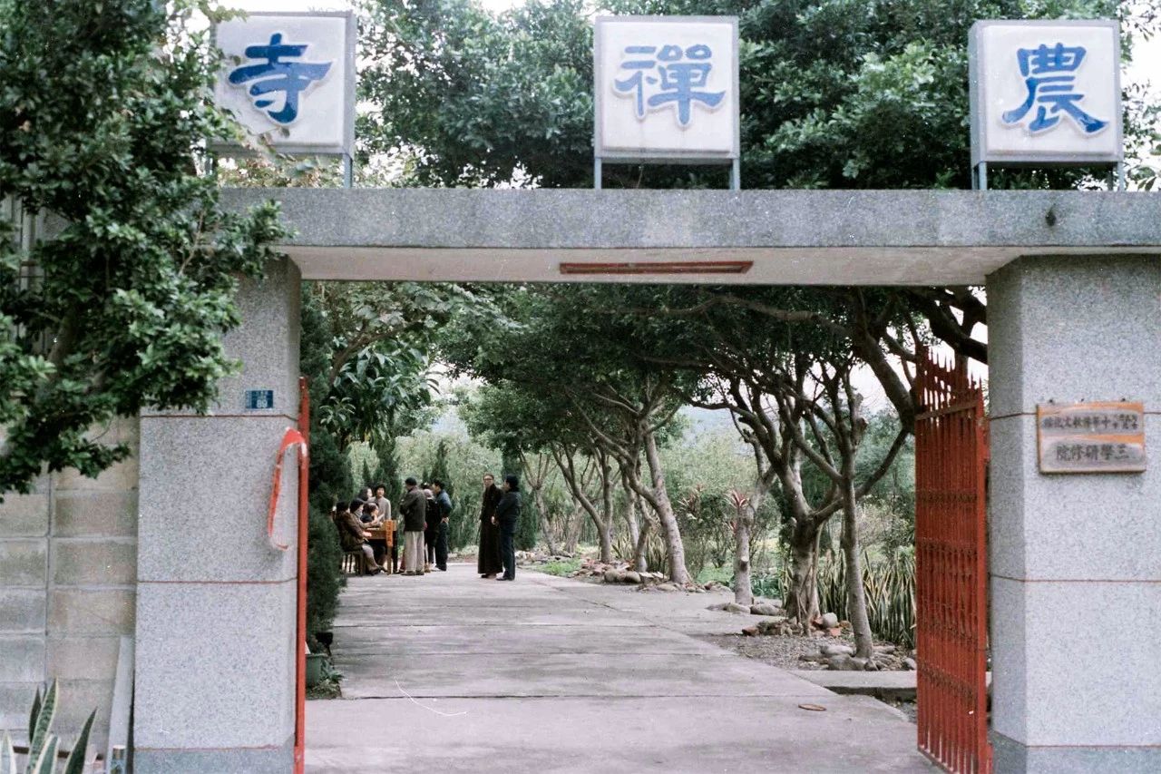 28000m2神秘寺廟-水月道場(chǎng)，吸引百萬(wàn)人朝拜