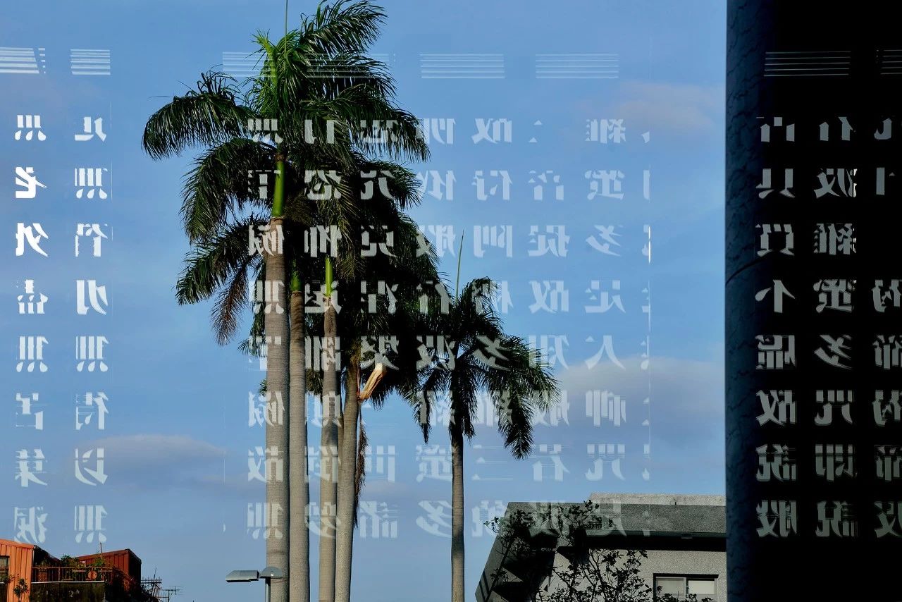 28000m2神秘寺廟-水月道場，吸引百萬人朝拜