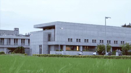 28000m2神秘寺廟-水月道場，吸引百萬人朝拜