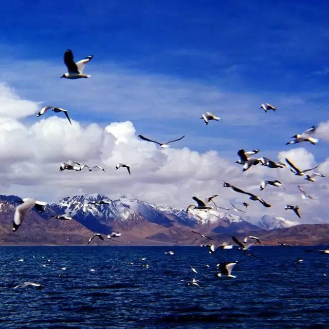 西藏景色，令人神往的佛界凈土