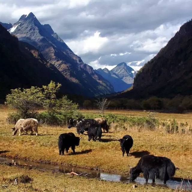 西藏景色，令人神往的佛界凈土
