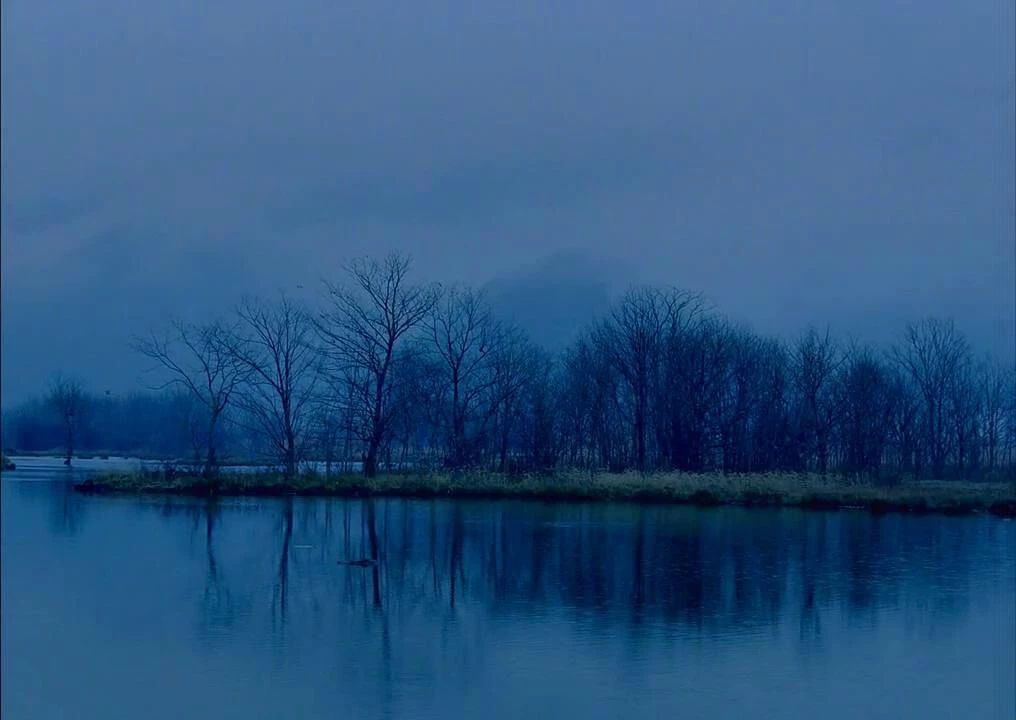 西顧·望城山居，闖入仙境等待一場(chǎng)花開(kāi)的心動(dòng)