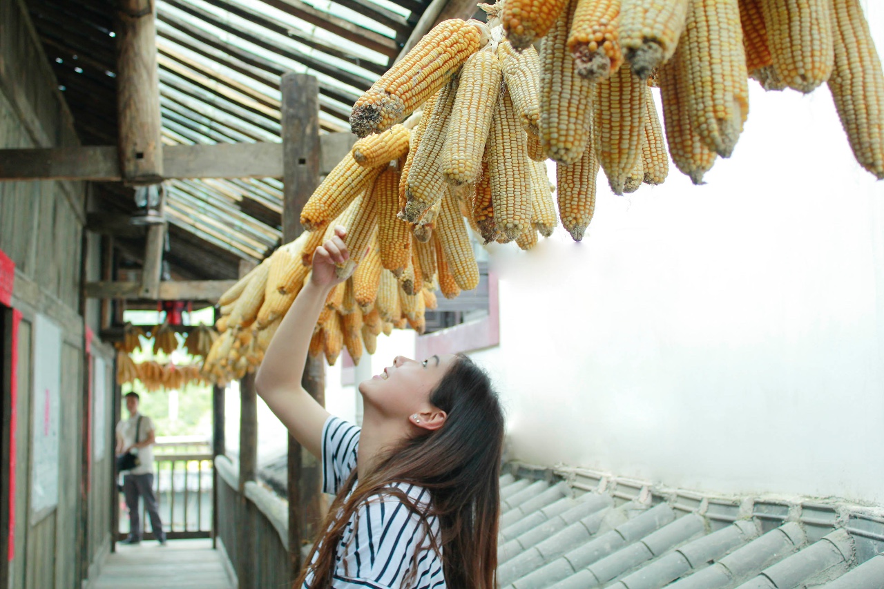 西顧·望城山居，闖入仙境等待一場(chǎng)花開(kāi)的心動(dòng)