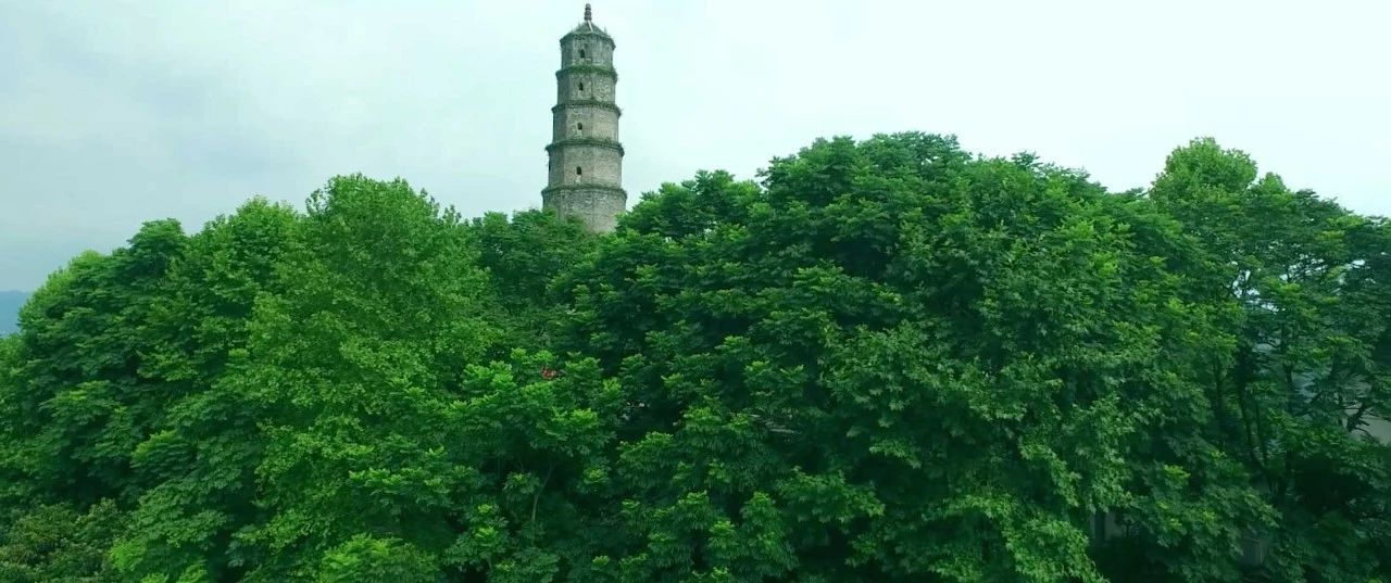 西顧·望城山居，闖入仙境等待一場花開的心動