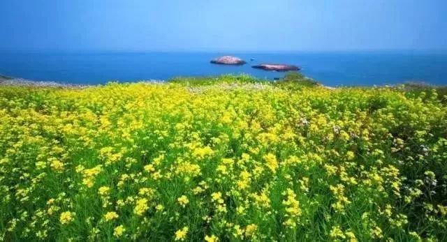 風景游玩攻略：11個絕美海島路線約嗎？