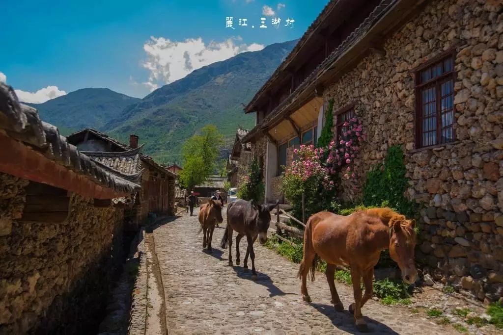 麗江·我們宿約，融入當?shù)氐奈幕罡腥久總€人