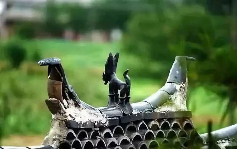 麗江·我們宿約，融入當?shù)氐奈幕罡腥久總€人