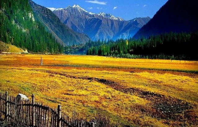 麗江·我們宿約，融入當?shù)氐奈幕罡腥久總€人